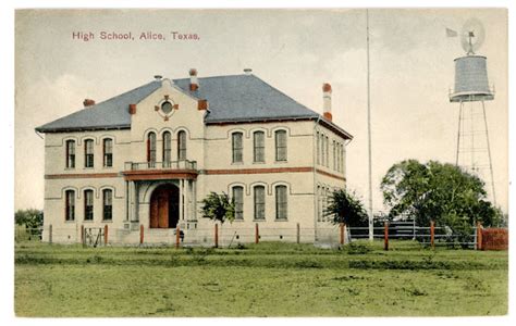 schools in alice texas